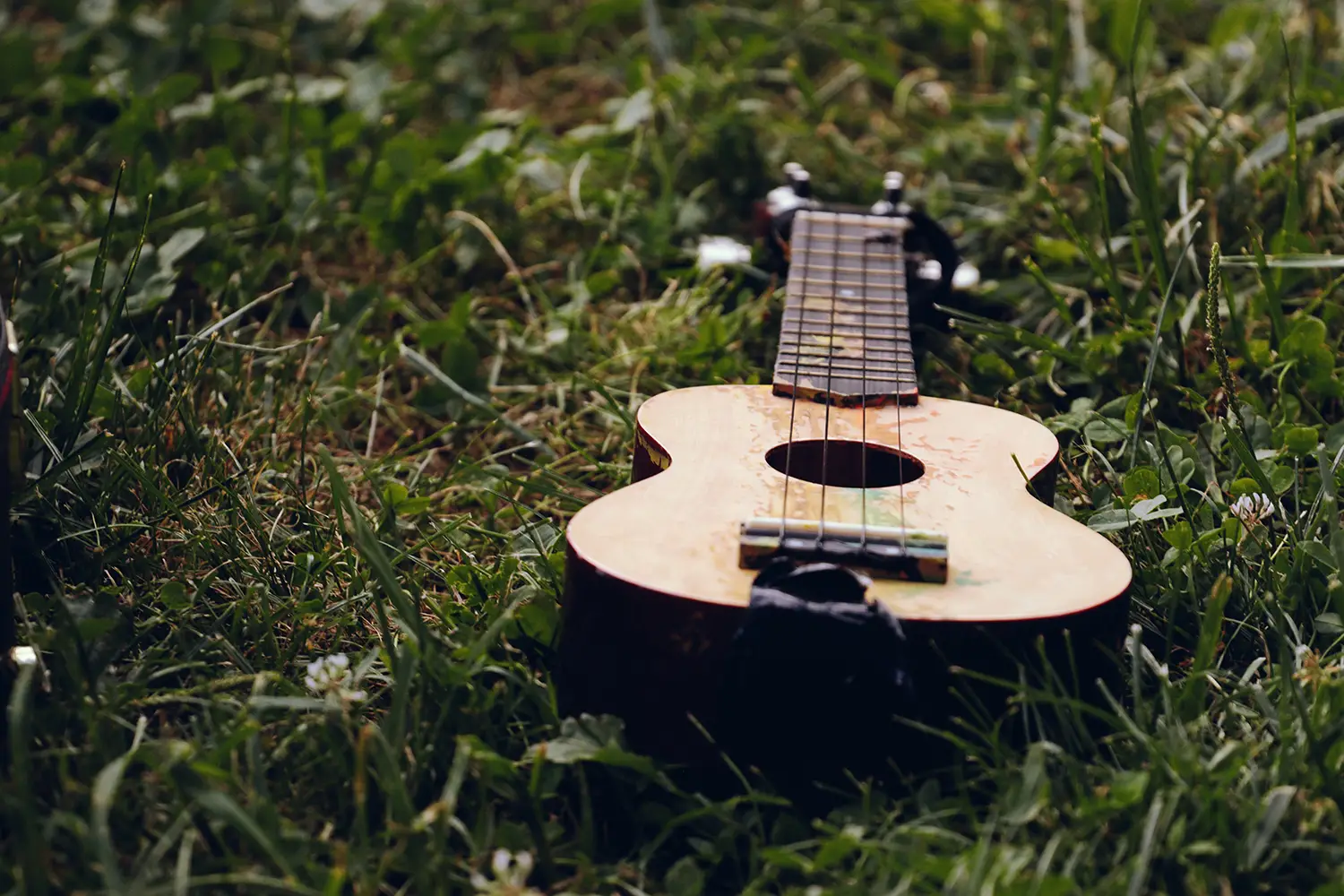 Ukulele resting on grass outdoors.